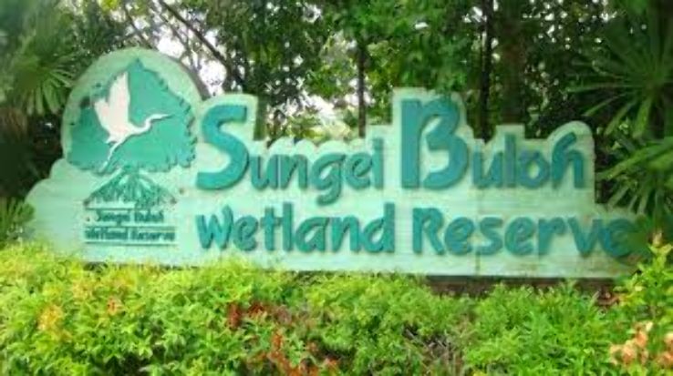 Sungei Buloh Wetland Reserve Trip Packages