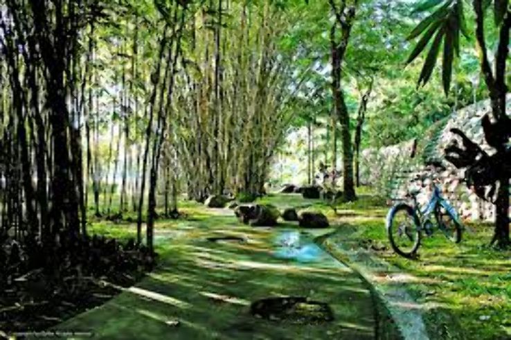 Putrajaya Botanical Garden Trip Packages
