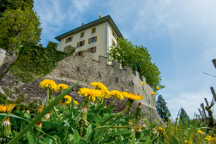 Lake Hallwil Trip Packages