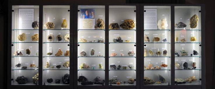 Museo Civico Craveri di Storia Naturale Trip Packages