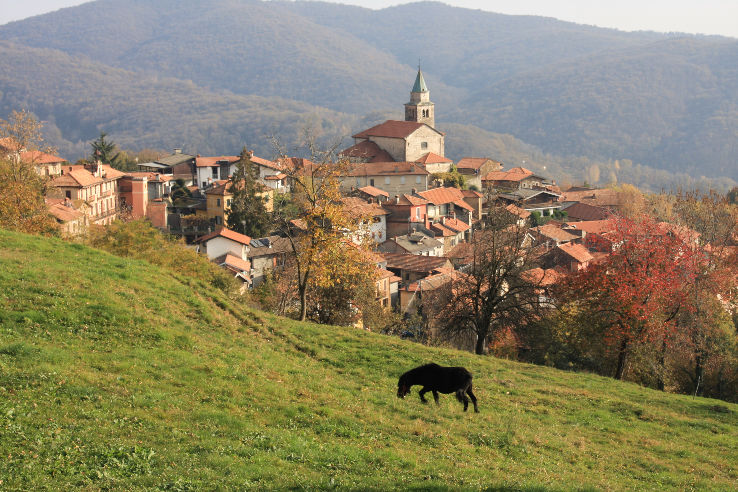 Panorama Trip Packages