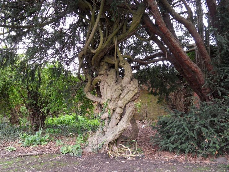 Belgrave Hall Trip Packages