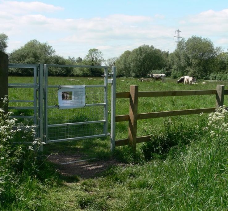 Aylestone Meadows Trip Packages