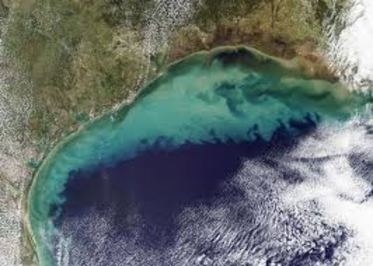 The Gulf of Mexico Trip Packages