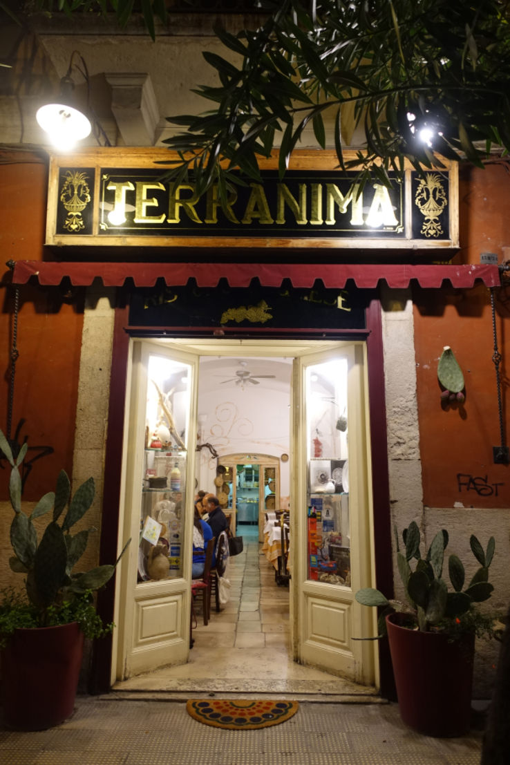 Terranima Trip Packages