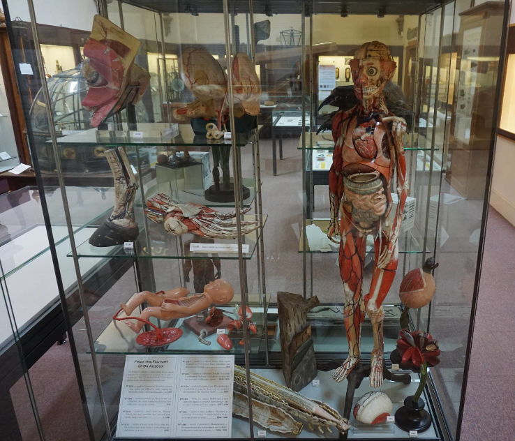 Whipple Museum of the History of Science Trip Packages