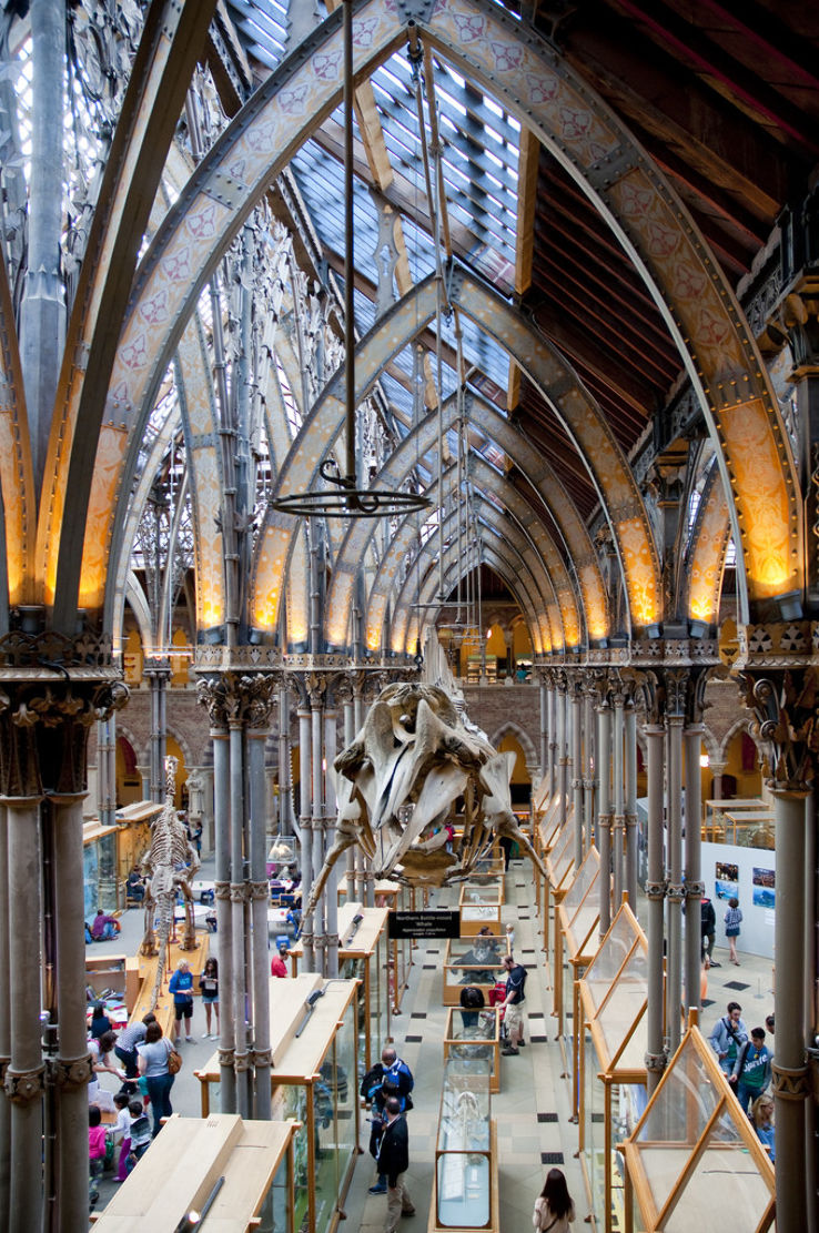 Museum of Oxford Trip Packages