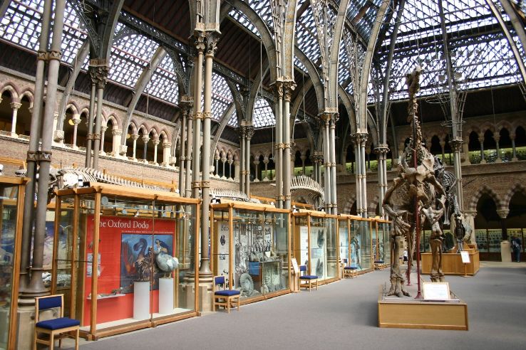 Museum of Oxford Trip Packages