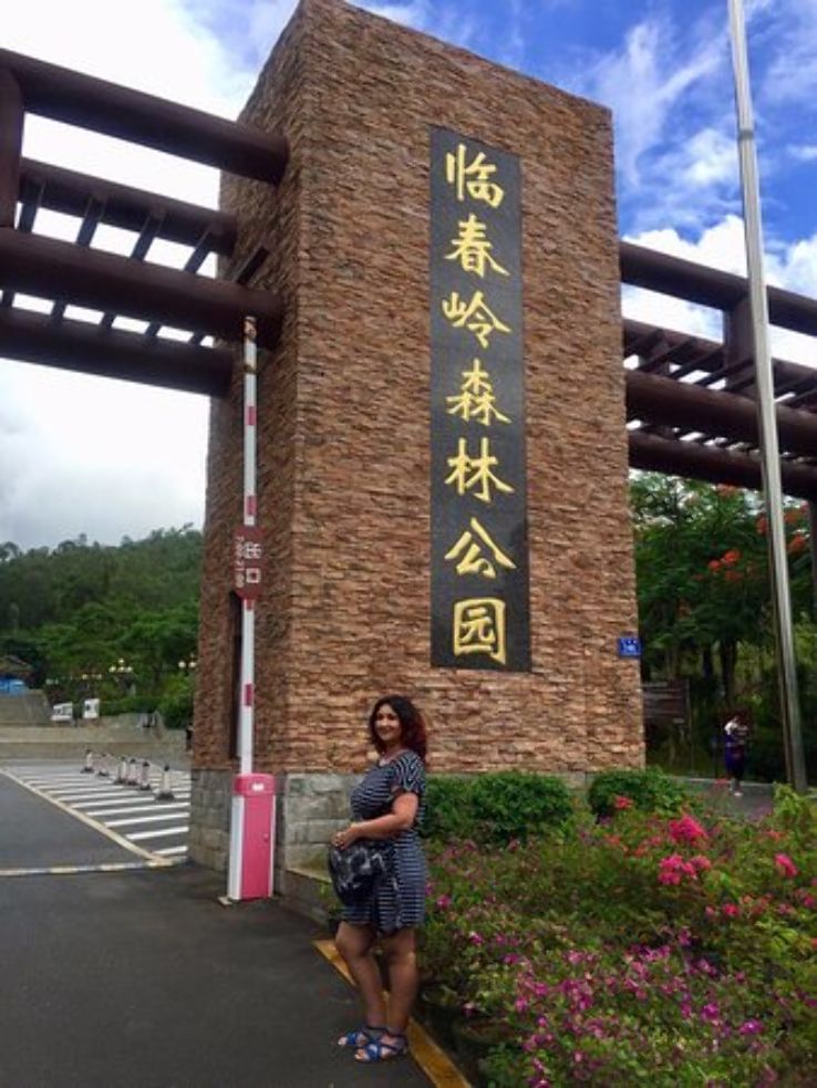 Linchunling Forest Park  Trip Packages