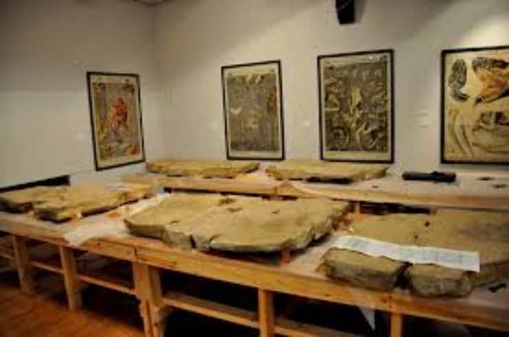 Hunterian Museum  Trip Packages