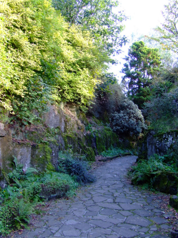 Fossil Grove  Trip Packages