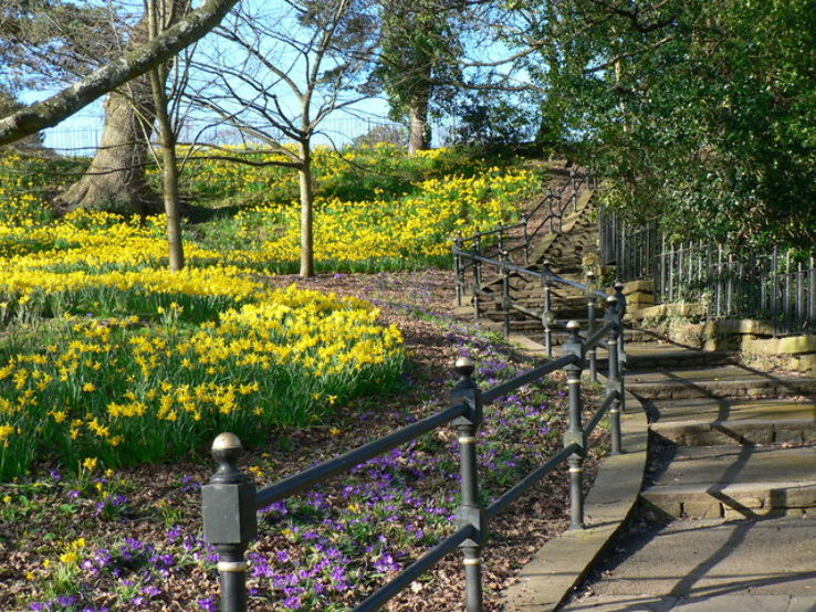 Thompson s Park  Trip Packages