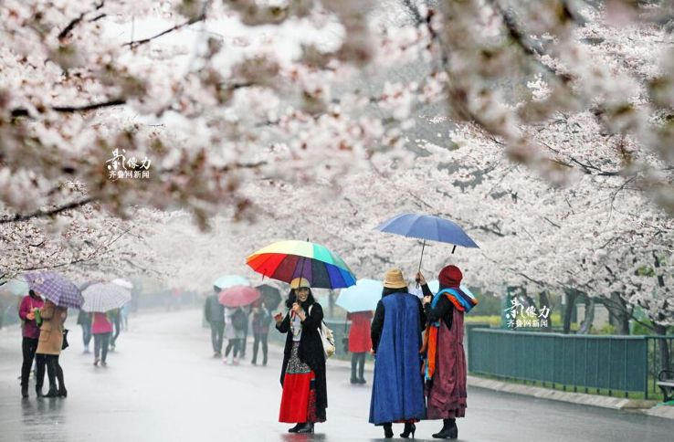 Zhongshan Park Qingdao Trip Packages