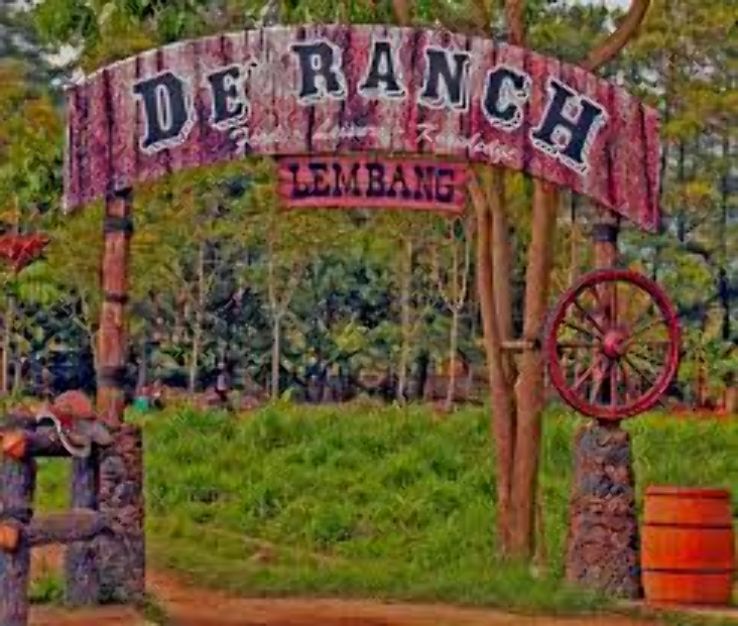 De Ranch Trip Packages