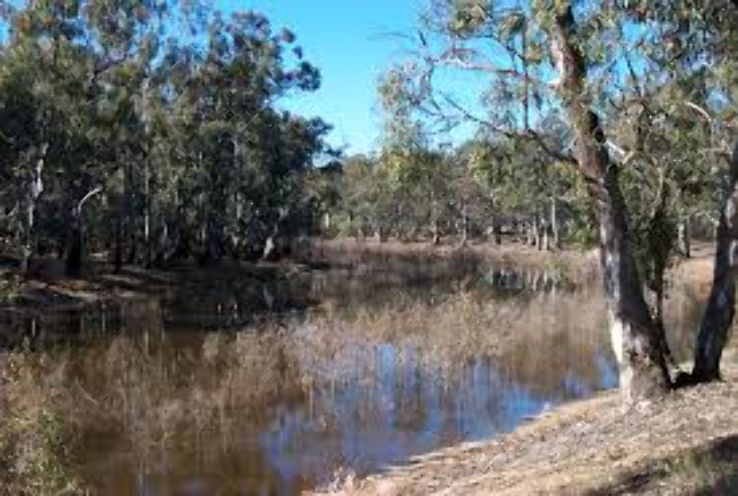 Murray River Trip Packages