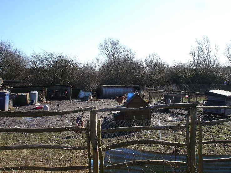 Wicken Fen Trip Packages