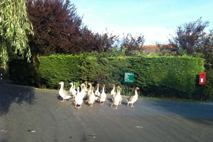 Isleham Nature Reserve Trip Packages