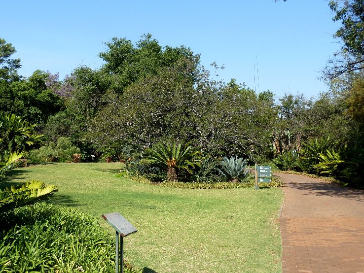 Pretoria National Botanic Garden Trip Packages