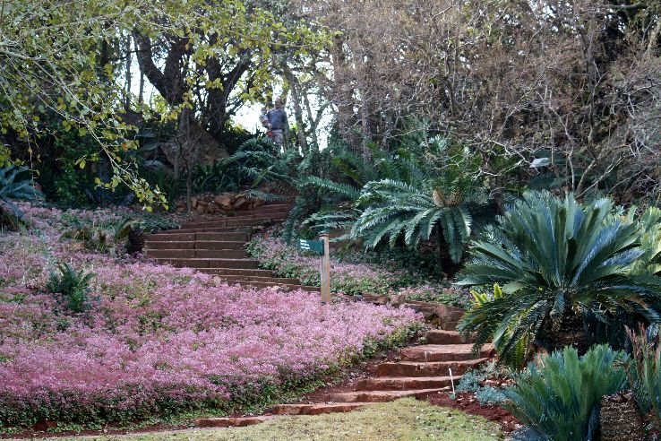 Pretoria National Botanic Garden Trip Packages