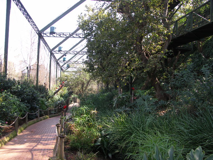 National Zoological Gardens of South Africa Trip Packages