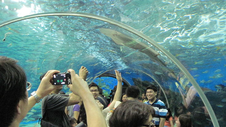 Manila Ocean Park Trip Packages