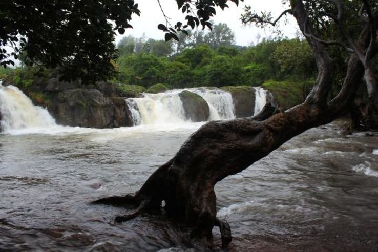 Lingamala Falls Trip Packages