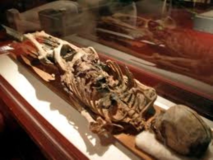 Istanbul Archaeology Museums Trip Packages