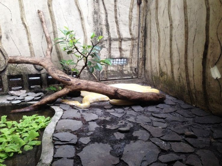 Manila Zoo Trip Packages