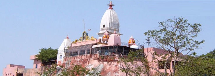 Manasa Devi Temple Trip Packages