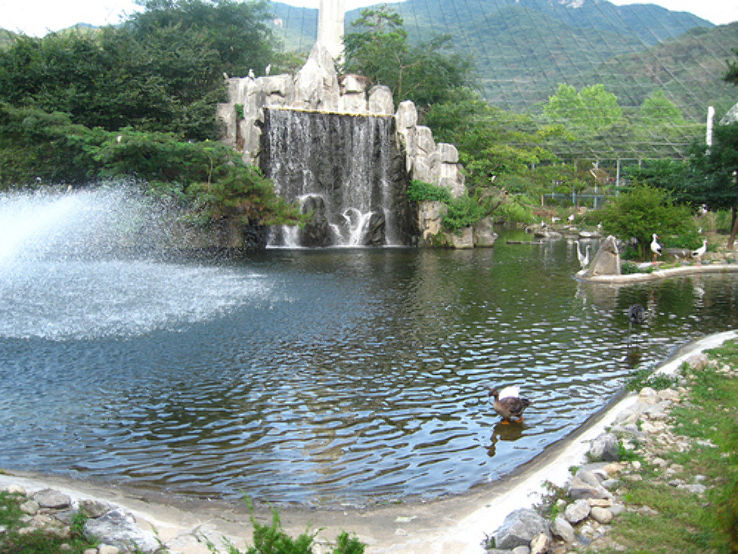 Seoul Grand Park Trip Packages
