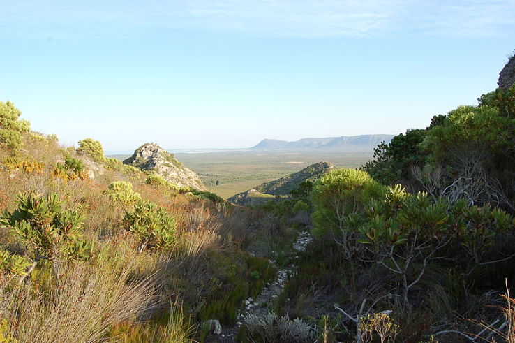 Table Mountain National Park Trip Packages