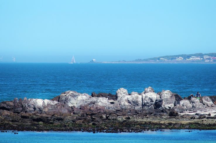 Robben Island Trip Packages