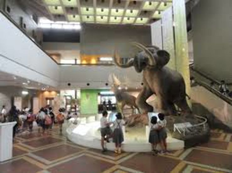 Osaka Museum of History Trip Packages