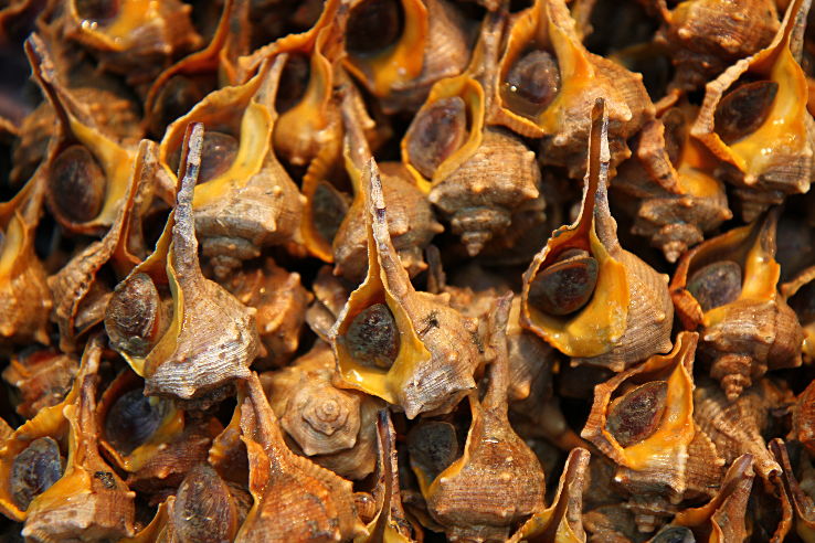 Mercado de Atarazanas  Market Hall Trip Packages