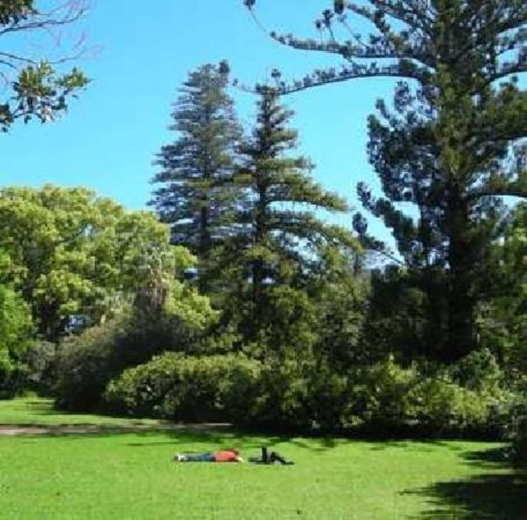 Arderne Gardens Trip Packages