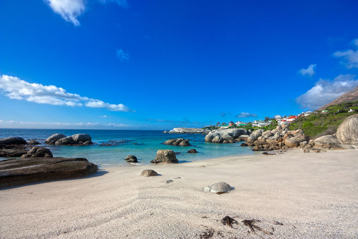 Boulders Beach Trip Packages