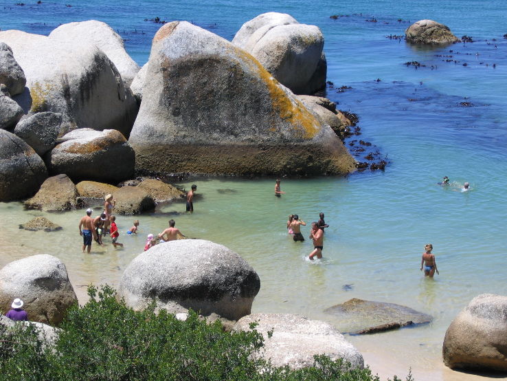 Boulders Beach Trip Packages