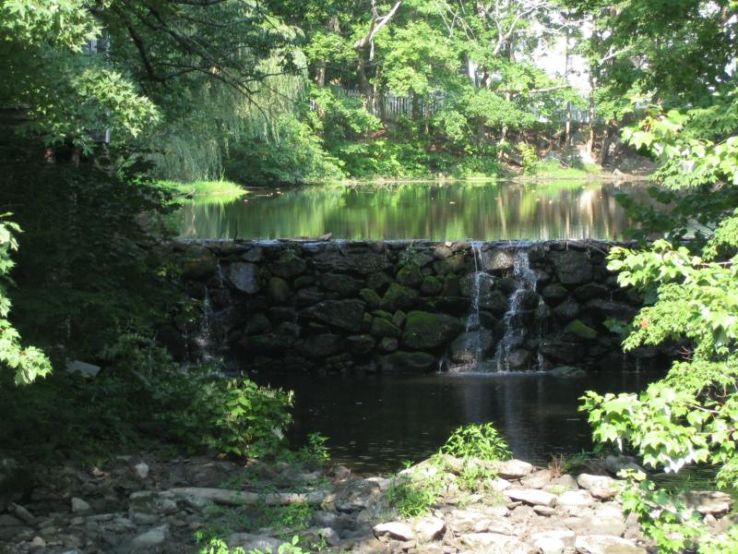 Silvermine Nature Reserve Trip Packages