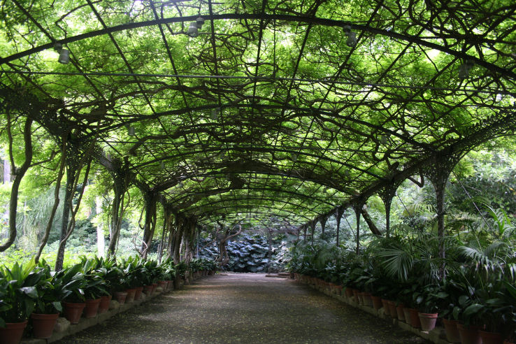 La Concepion Botanic Garden  Trip Packages