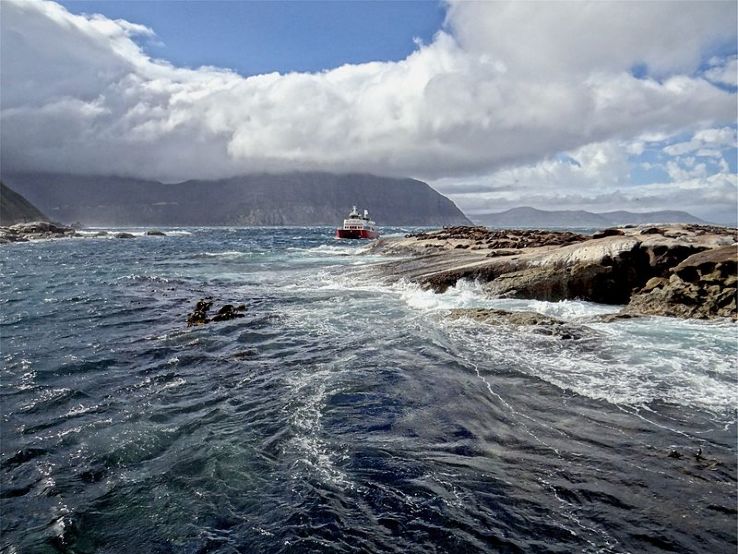 Duiker Island Trip Packages