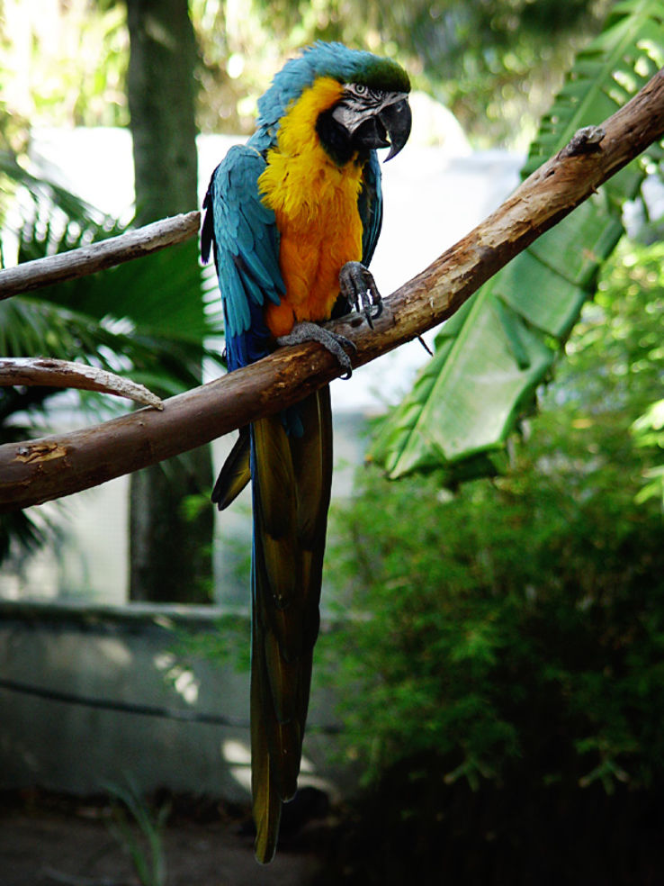 World of Birds Wildlife Sanctuary and Monkey Park Trip Packages