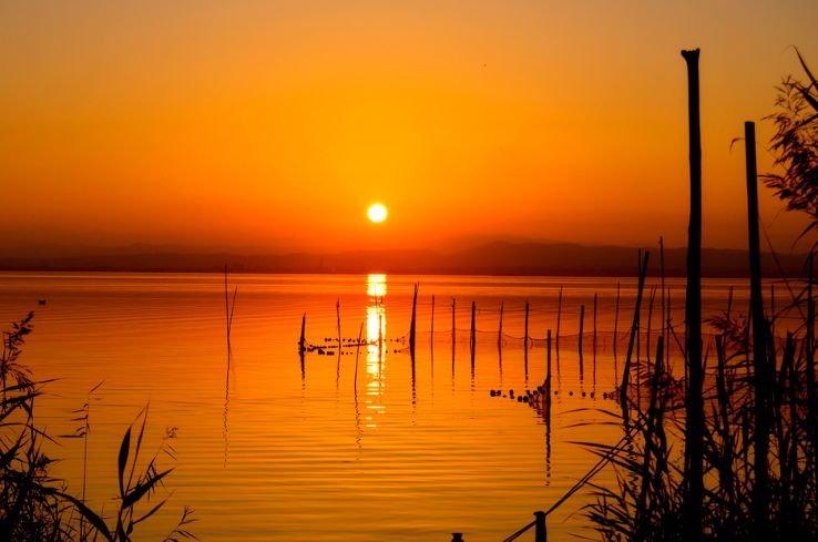 Albufera Trip Packages