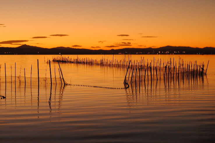 Albufera Trip Packages
