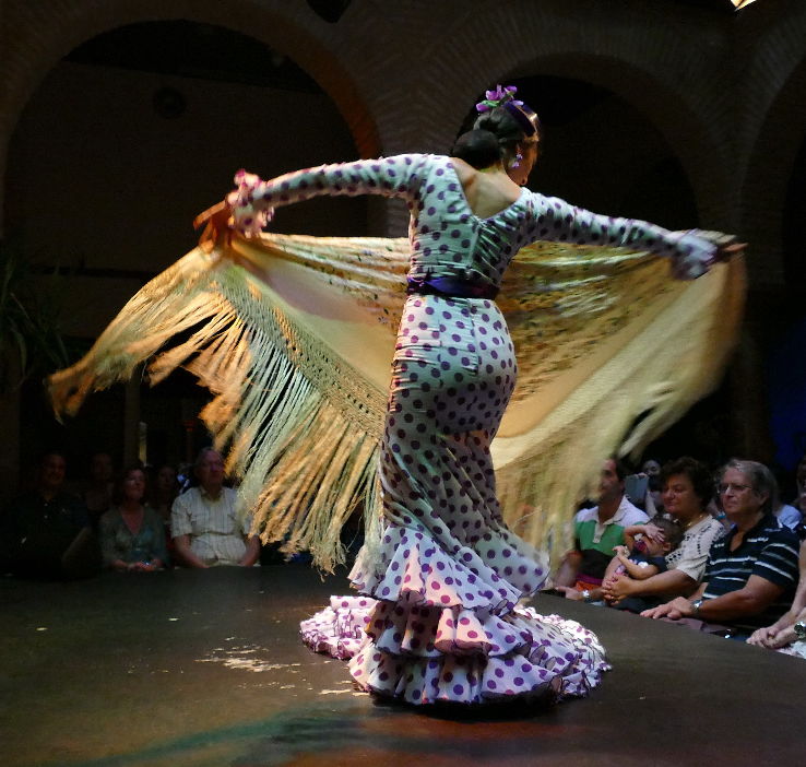 Flamenco Dance Museum Trip Packages
