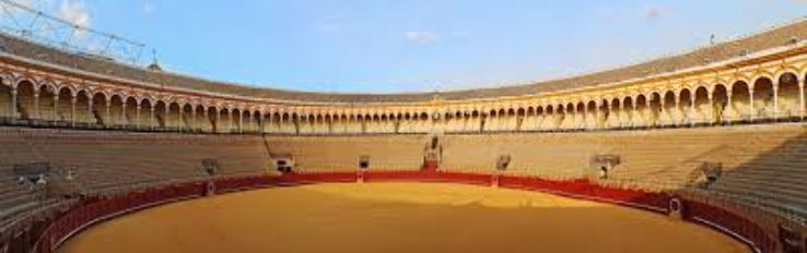 Real Maestranza Bull Ring and Bullfighting Museum  Trip Packages