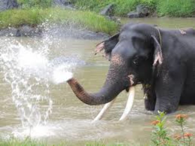 Johannesburg Zoo  Trip Packages