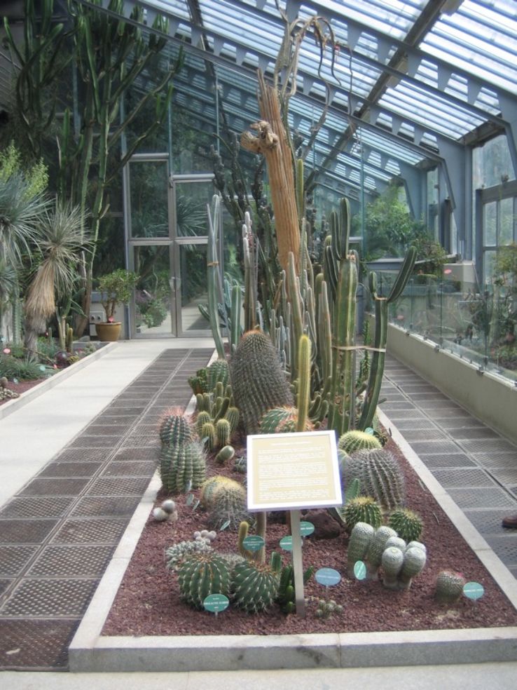 Real Jardin Botanico de Madrid Trip Packages