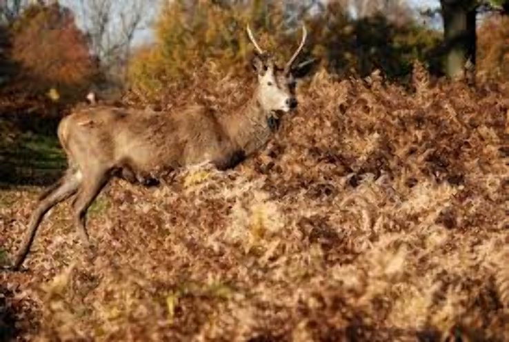 Klipriviersberg Nature Reserve Trip Packages