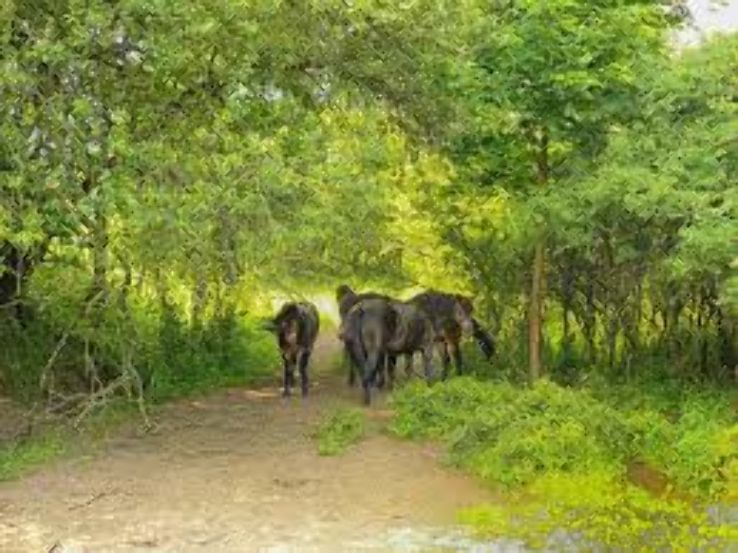 The Wilds Municipal Nature Reserve Trip Packages