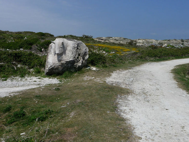Tout Quarry Sculpture Park and Nature Reserve Trip Packages